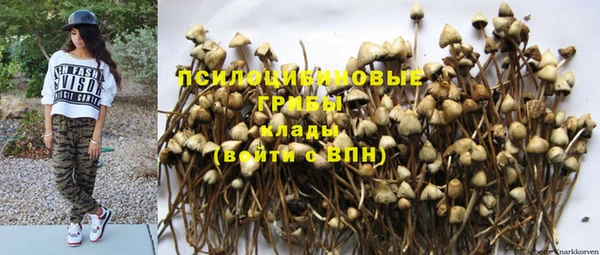 прущие грибы Алексин