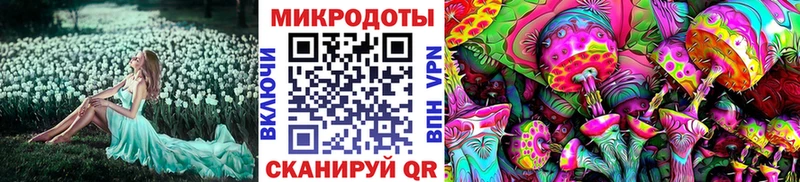 Псилоцибиновые грибы Cubensis  Череповец 
