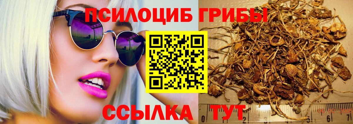 Псилоцибиновые грибы прущие грибы  Галлюциногенные грибы Psilocybine cubensis  Вход с VPN  купить наркотик  Череповец 